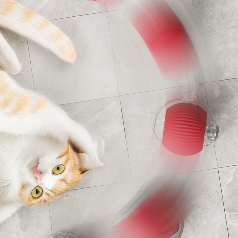 🐱Mențineți animalul de companie activ🐶Smart automat de rulare Pet Ball