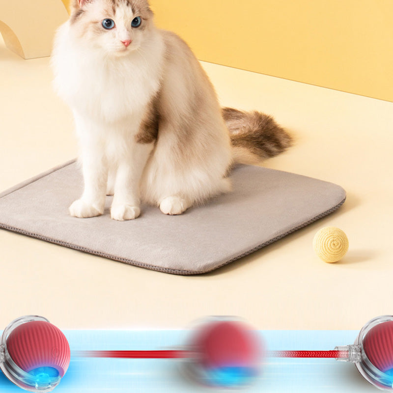 🐱Mențineți animalul de companie activ🐶Smart automat de rulare Pet Ball