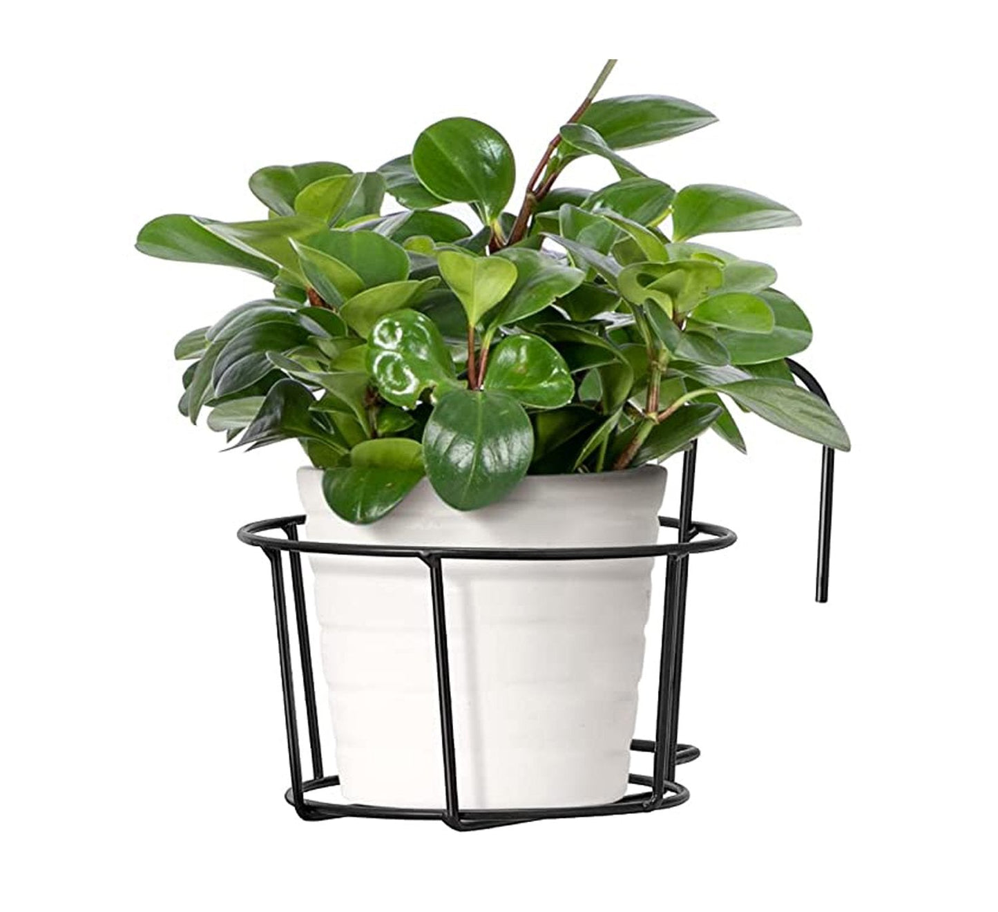 【Cumpărați 1 obțineți 1 gratuit】🌺New Hanging Baskets Flower Pot Pot Stand