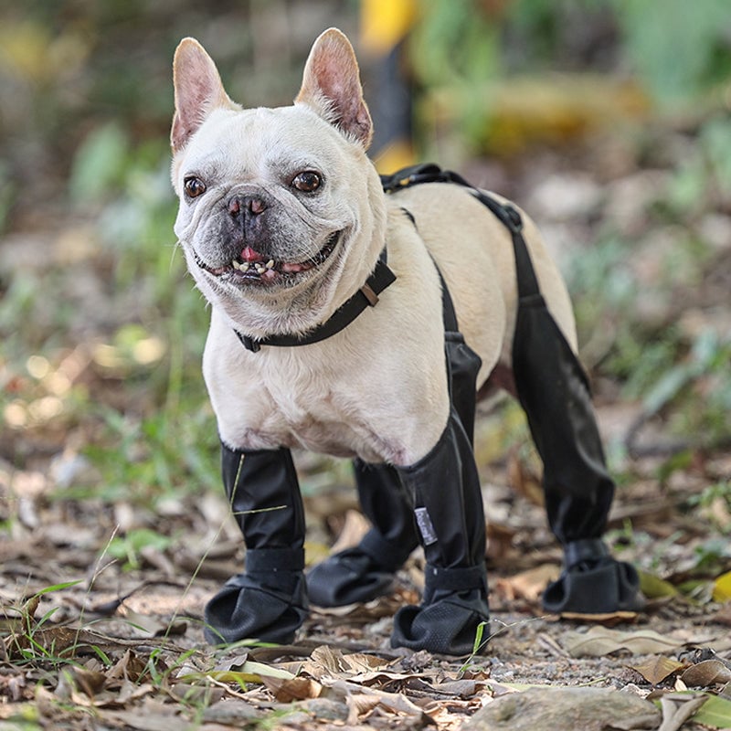 🔥 New Anul de vânzare fierbinte 🐶 Cizme impermeabile pentru animale de companie